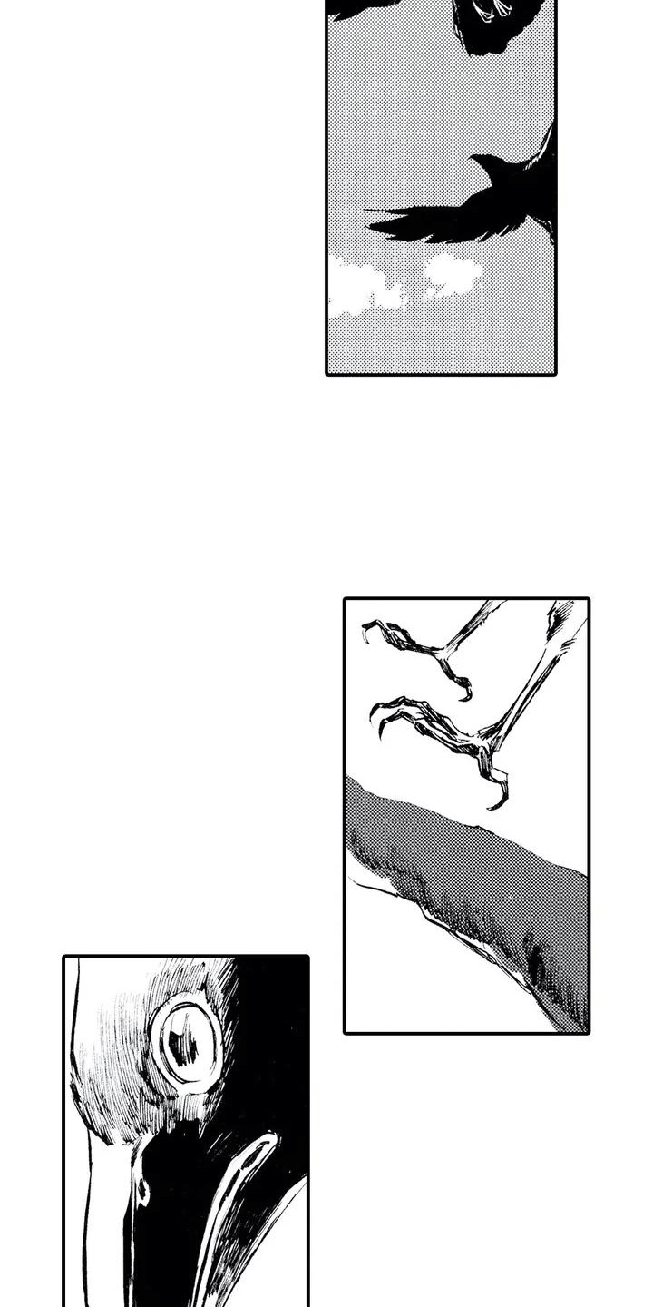 《狼人降临》第1章狼捡了人 第4页