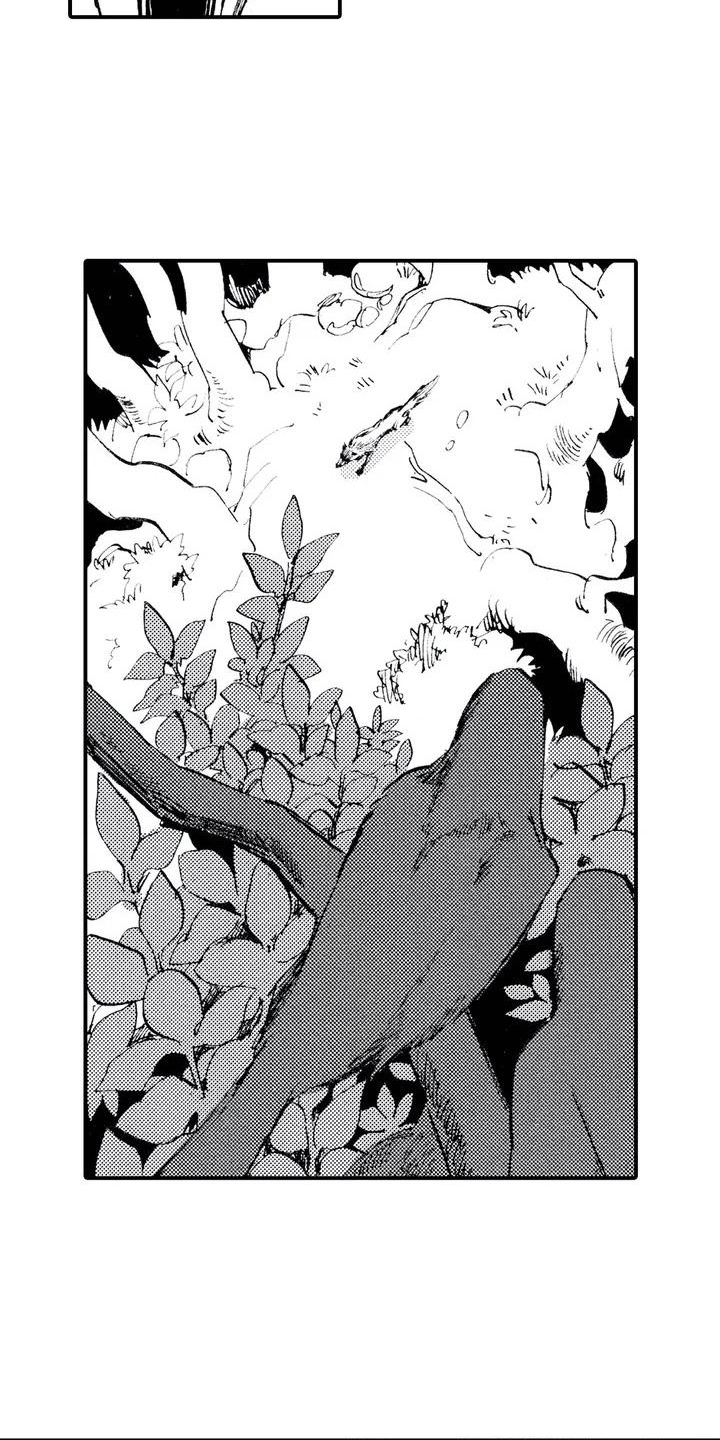 《狼人降临》第1章狼捡了人 第5页