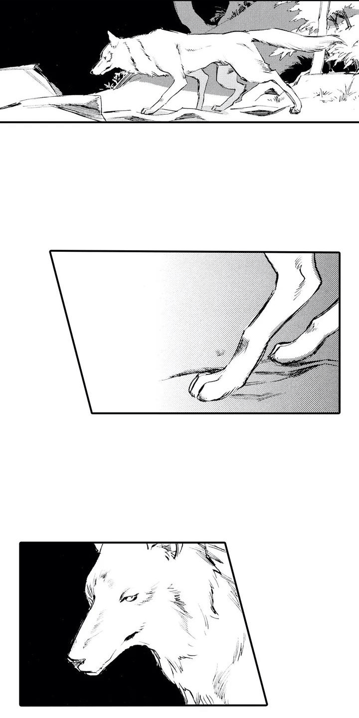 《狼人降临》第1章狼捡了人 第6页