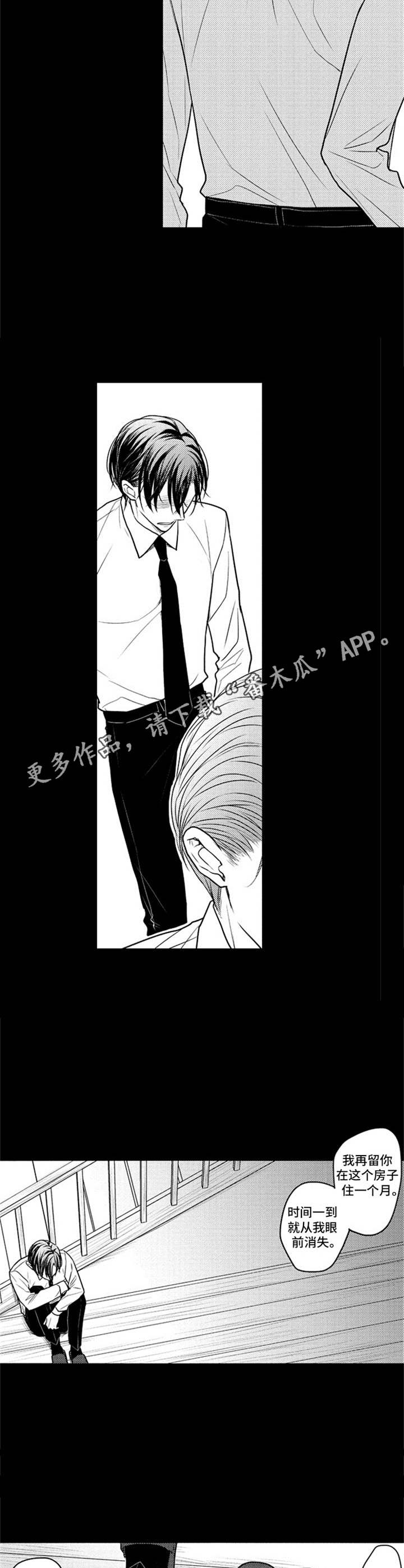《白色画框》第26章真相 第5页