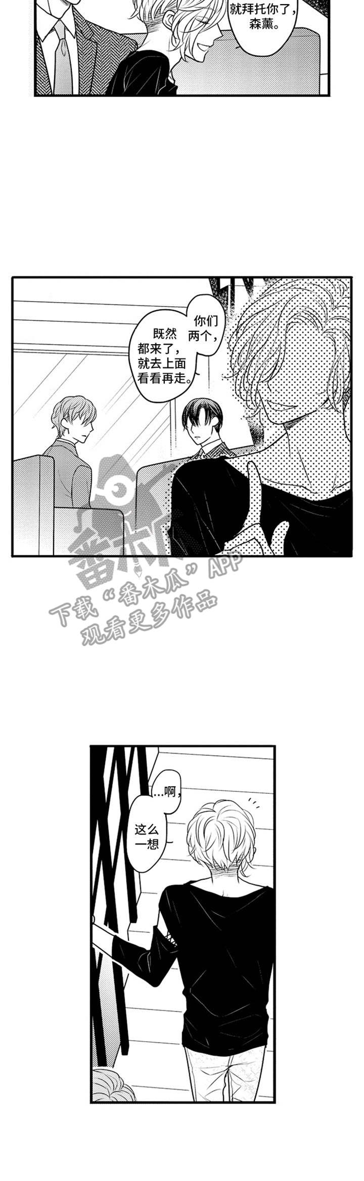 《白色画框》第16章期望 第3页
