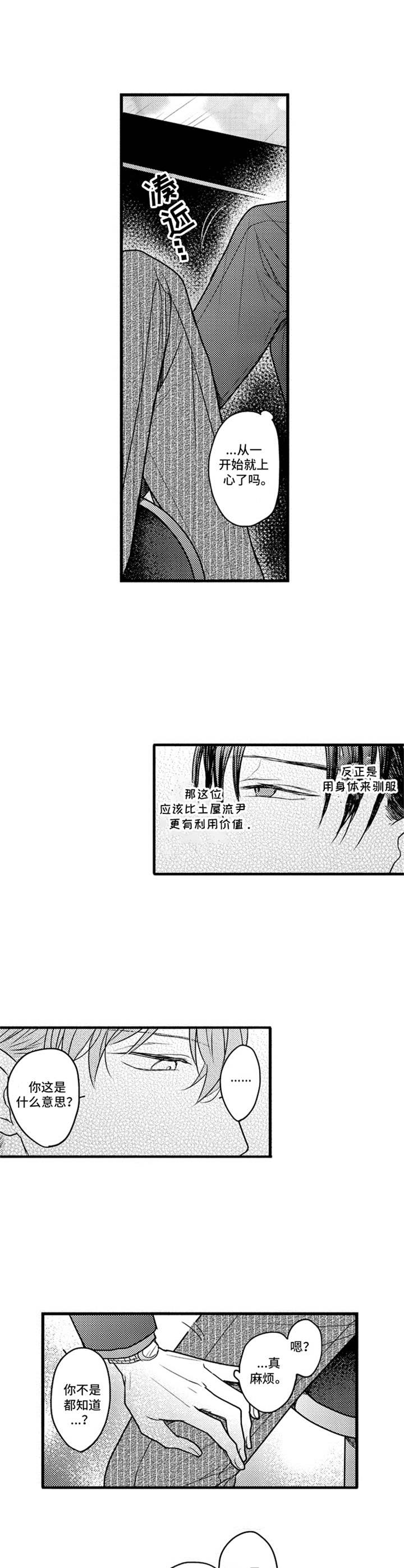 《白色画框》第12章条件 第11页