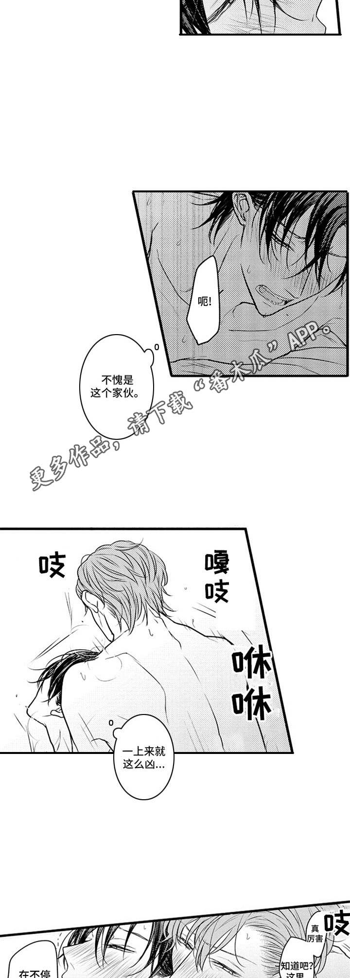 《白色画框》第13章一时兴起 第5页