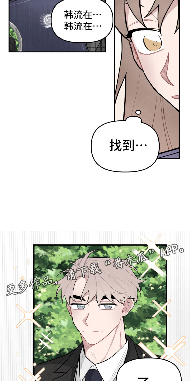 《碰巧遇见你》第20章一起看相册 第18页