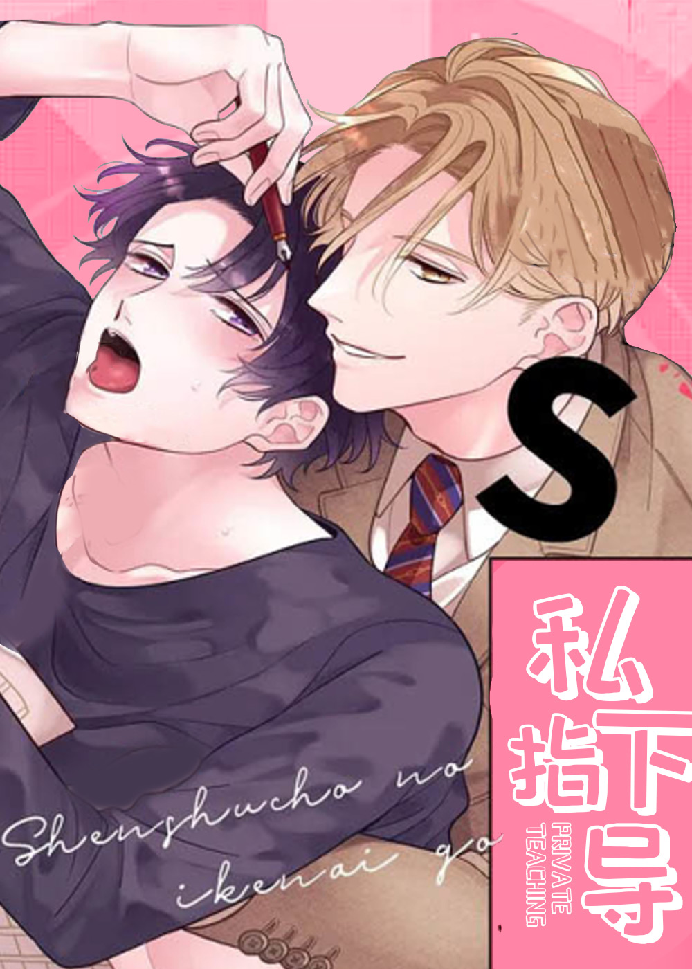 《私下指导》漫画封面图 - tl漫画