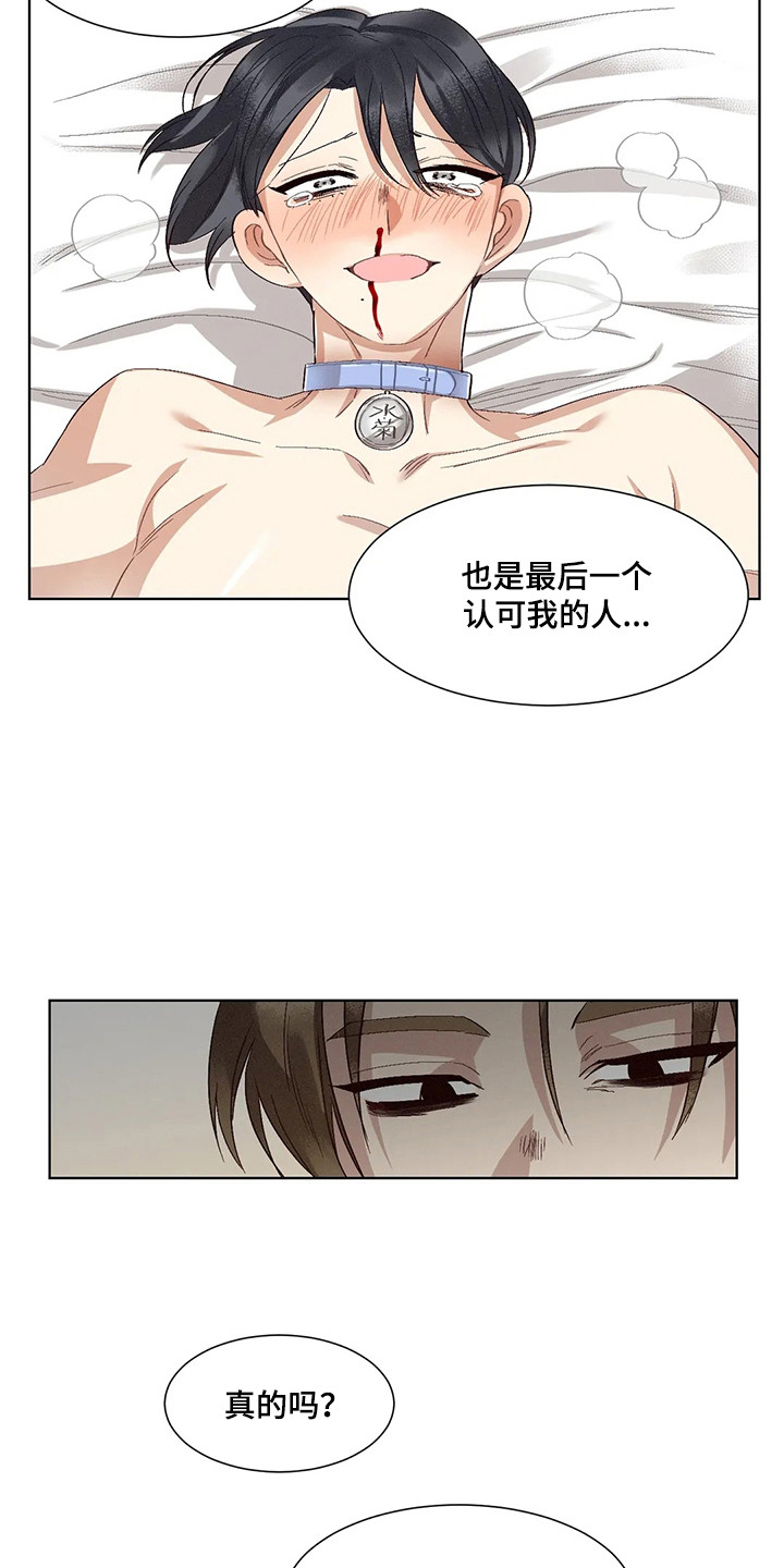 《狂攻公寓》第87章患有肺结核的前辈新名字（完） 第21页