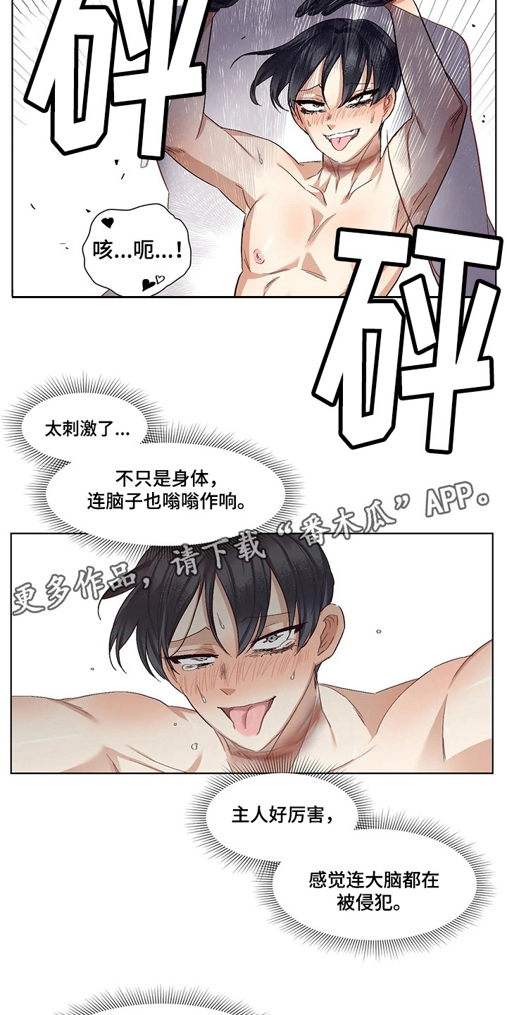 《狂攻公寓》第87章患有肺结核的前辈新名字（完） 第5页