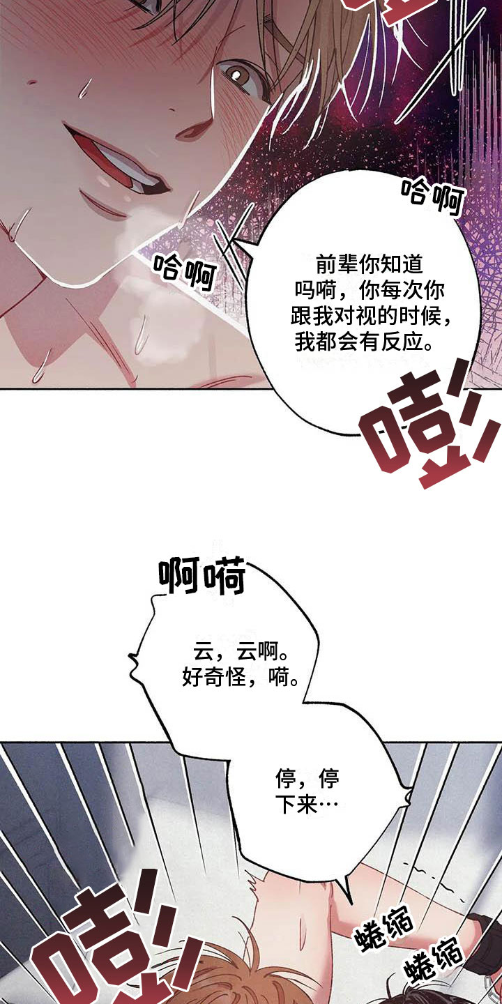 《狂攻公寓》第73章请，糖果！诉说爱意 第32页