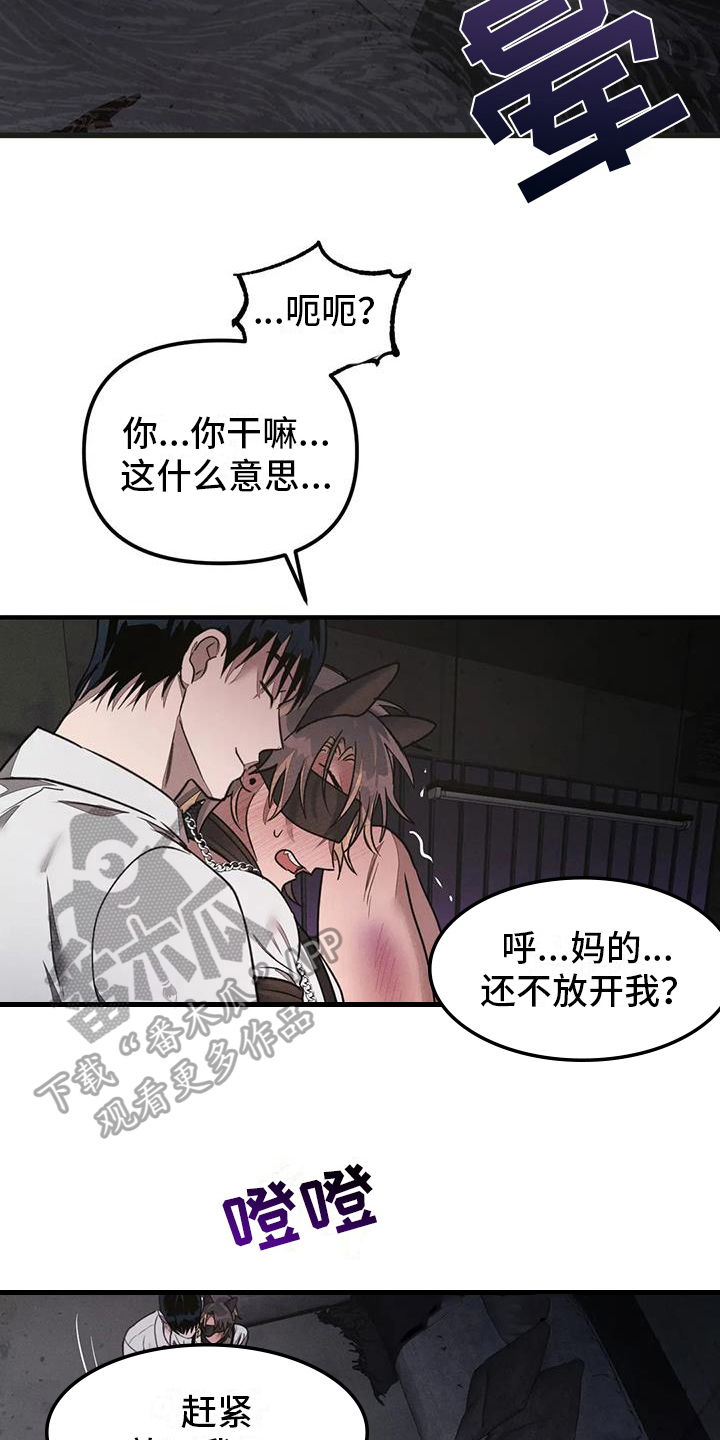 《狂攻公寓》第60章养狗面对面 第5页