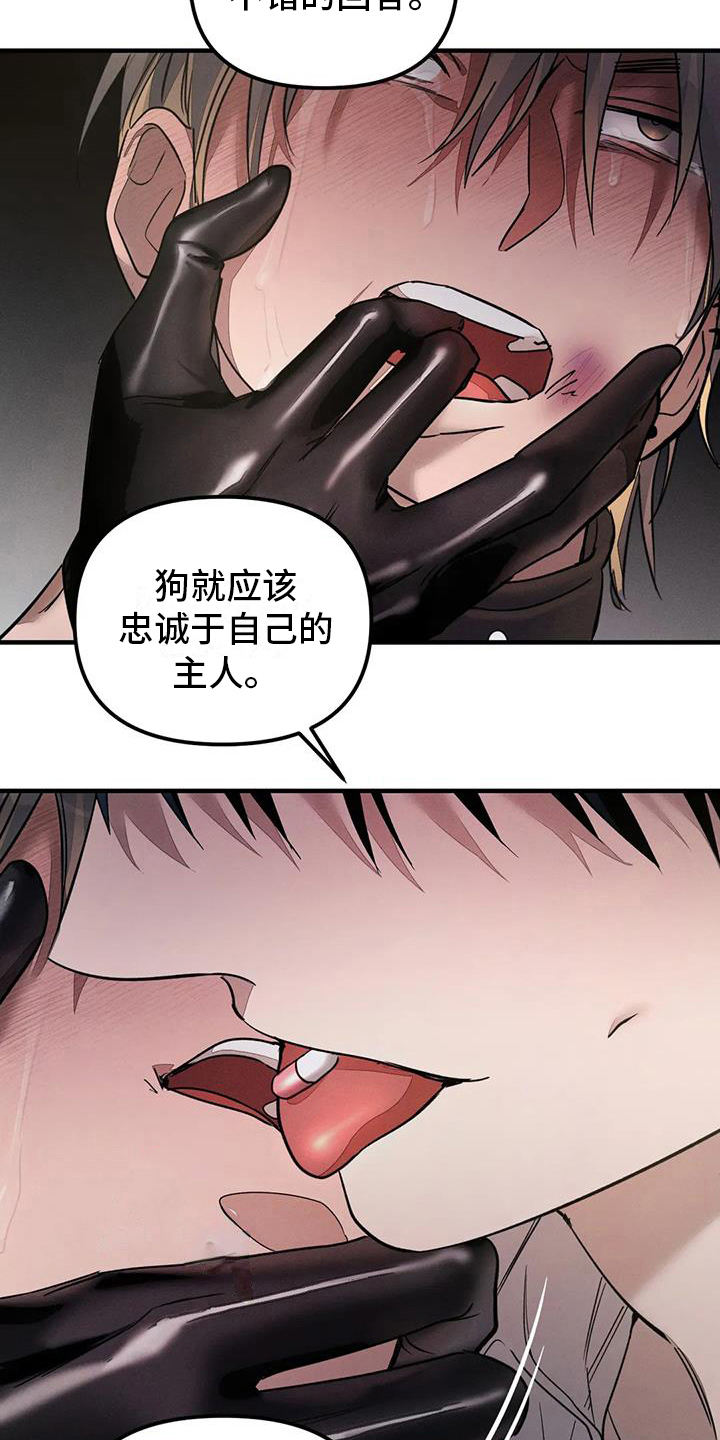 《狂攻公寓》第61章养狗反抗 第2页