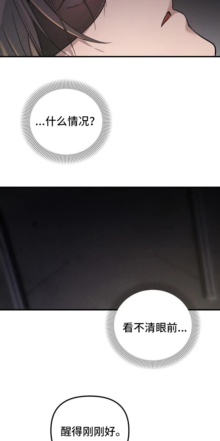 《狂攻公寓》第59章养狗有趣 第2页