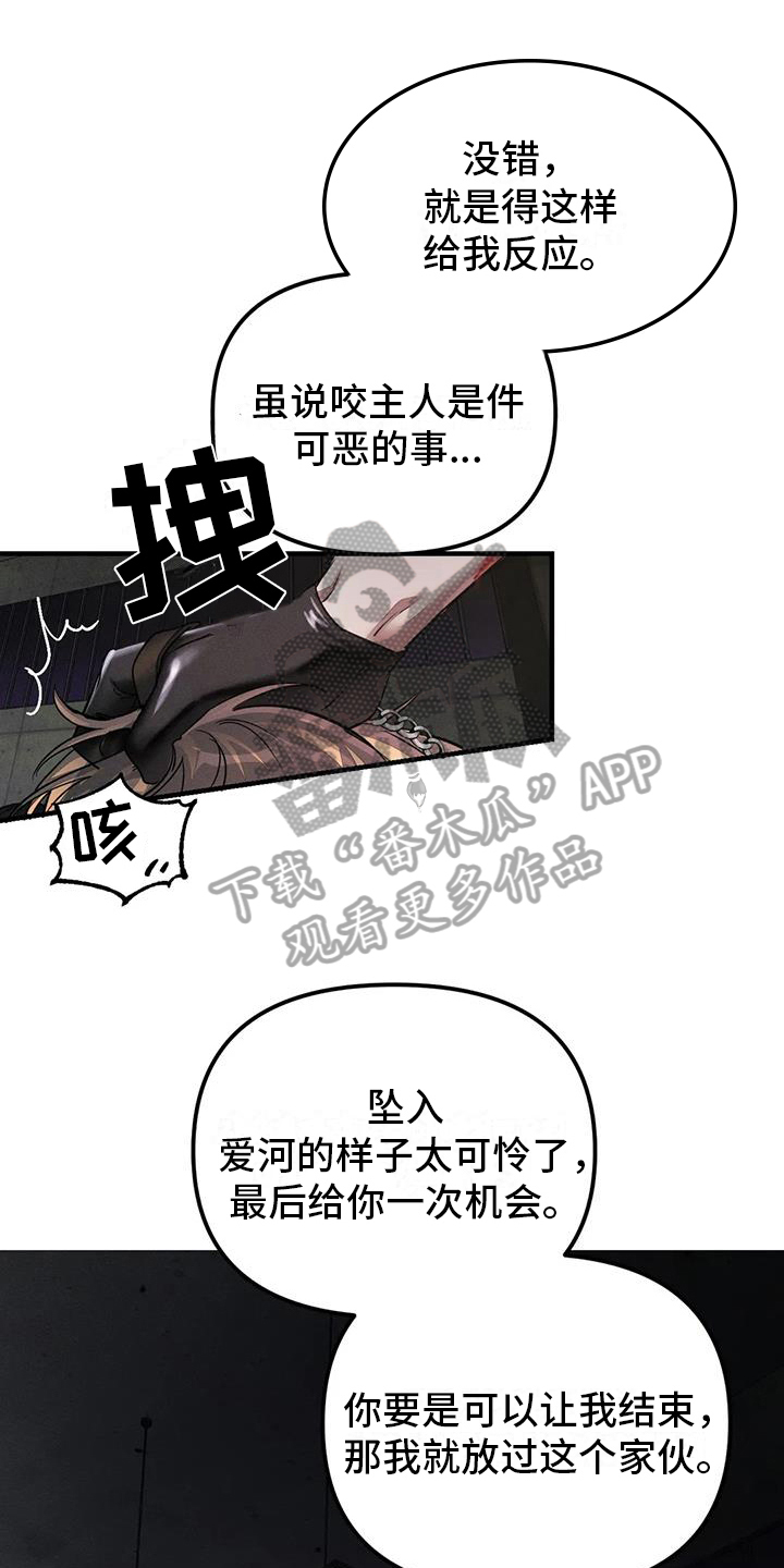 《狂攻公寓》第62章养狗输了 第1页