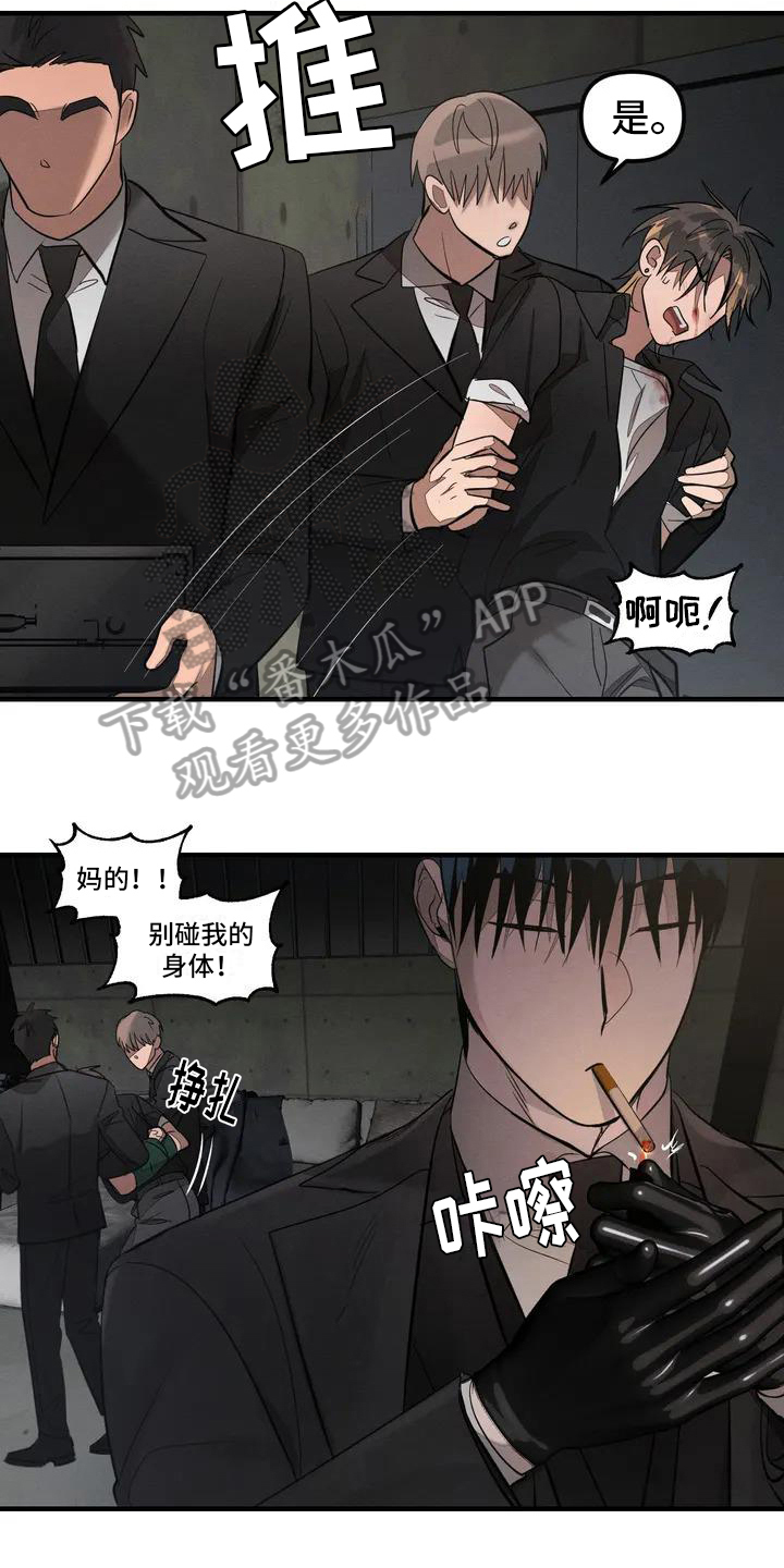 《狂攻公寓》第57章养狗受伤 第3页