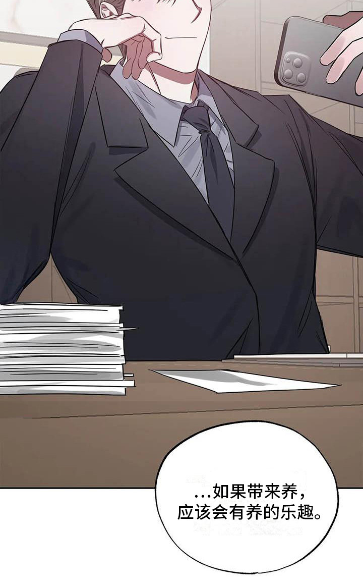 《狂攻公寓》第47章幸运！管家监控 第13页
