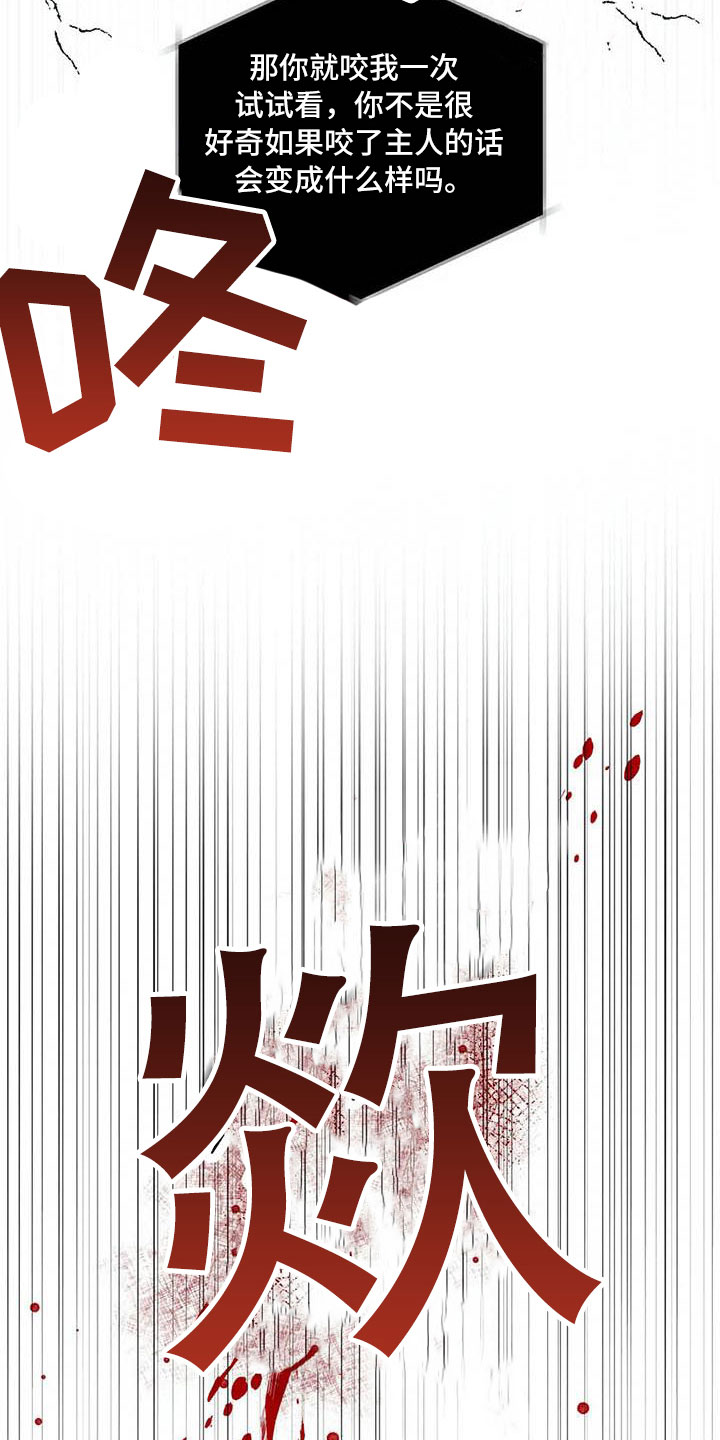 《狂攻公寓》第23章驯养拔刀相向 第12页