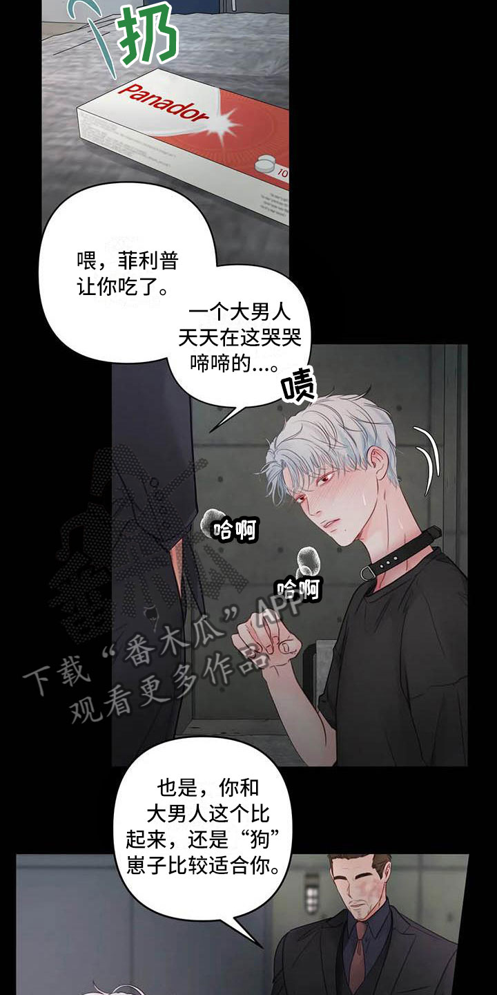 《狂攻公寓》第20章驯养心爱的 第3页