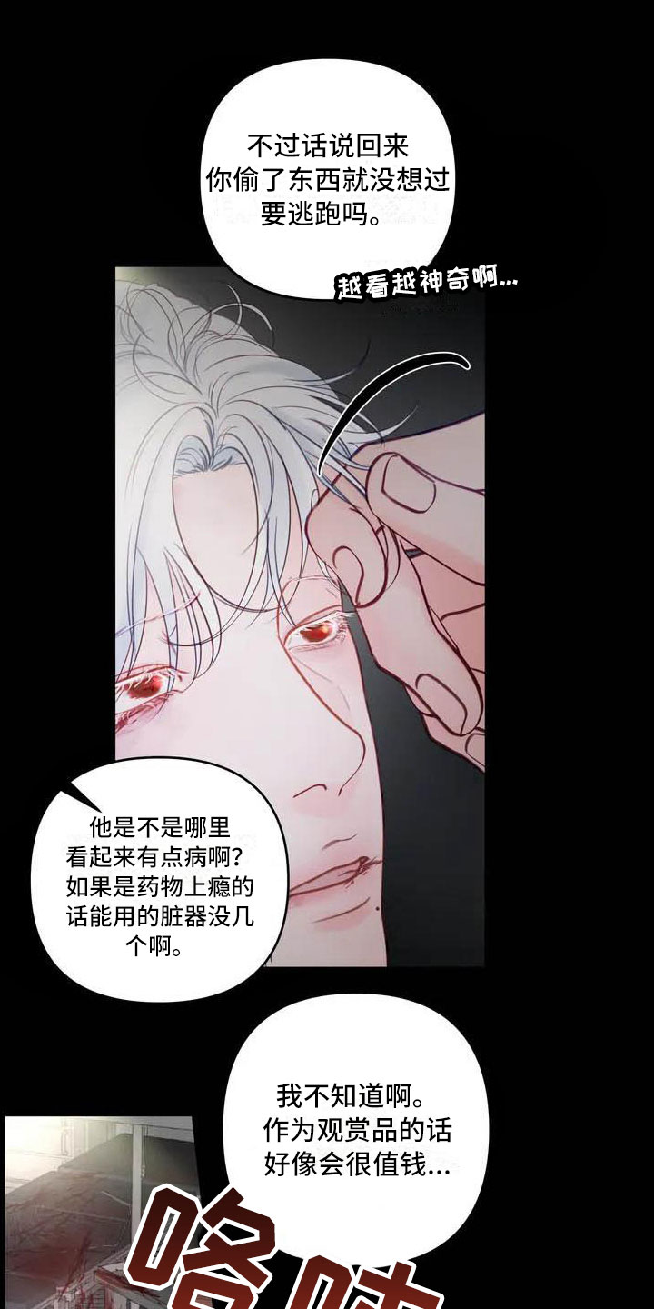 《狂攻公寓》第16章驯养海伦 第6页