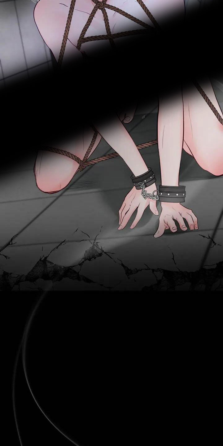《狂攻公寓》第17章驯养家畜 第2页
