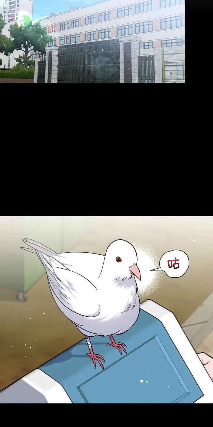 《狂攻公寓》第1章把我的正宇还给我想结婚 第12页
