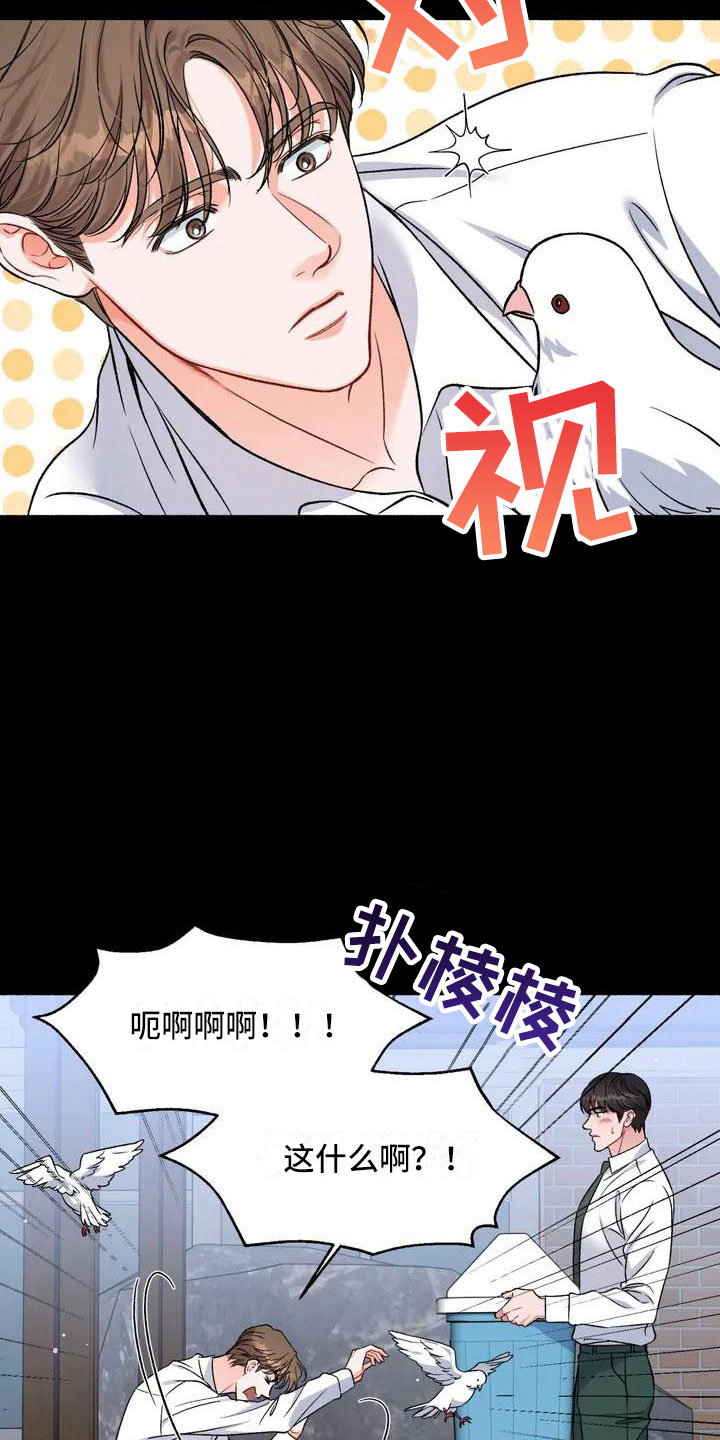 《狂攻公寓》第1章把我的正宇还给我想结婚 第19页