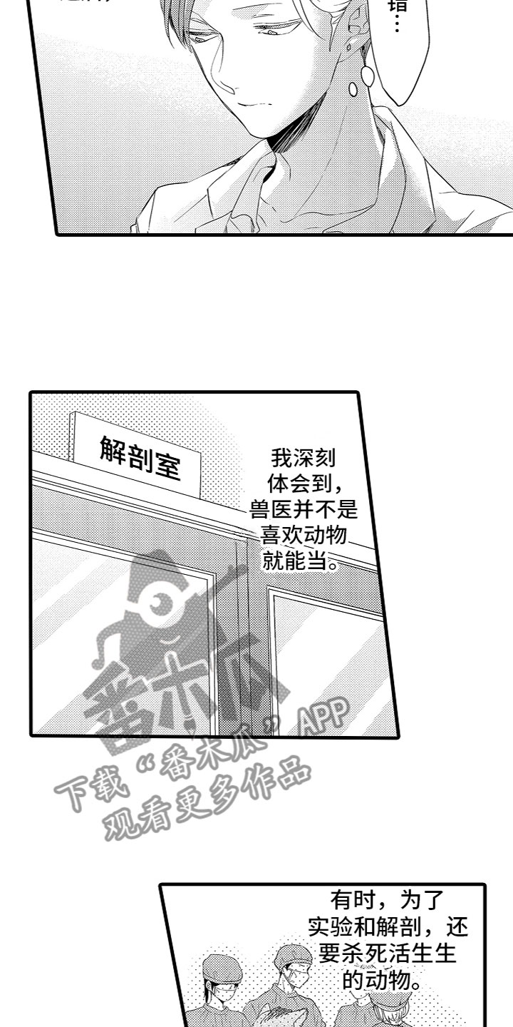 《给我生个孩子吧》第11章下定决心 第8页