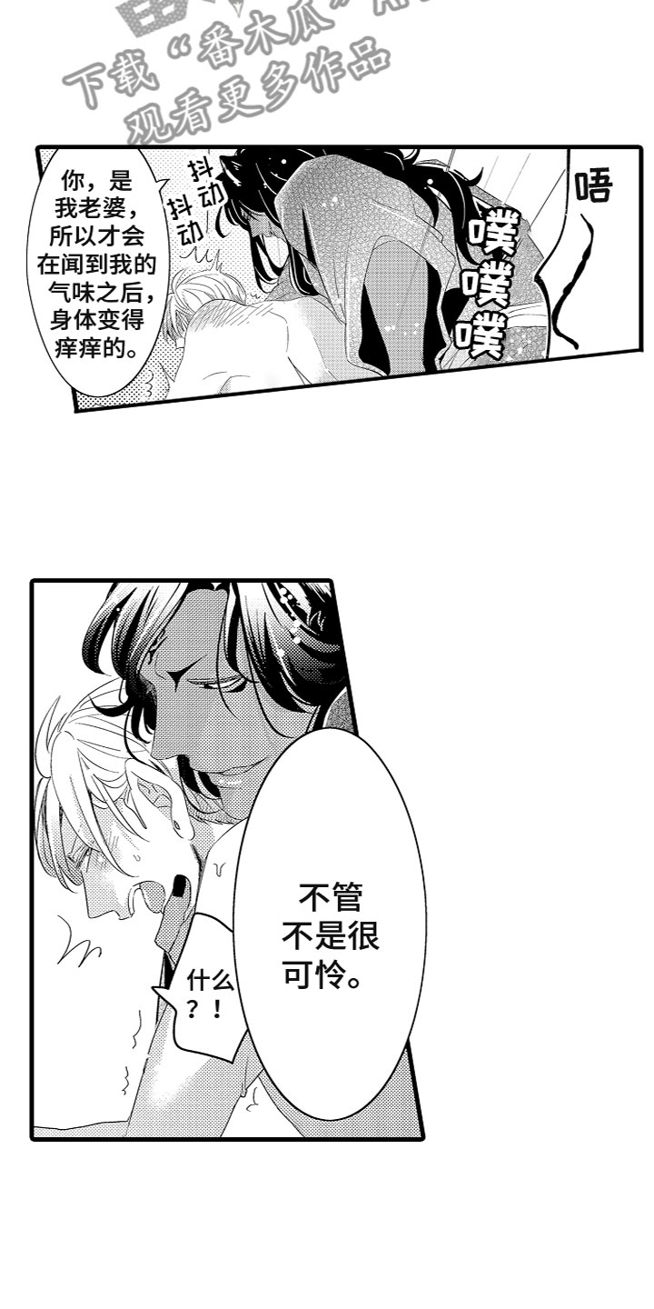 《给我生个孩子吧》第8章我的老婆 第14页