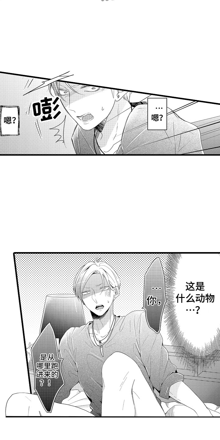 《给我生个孩子吧》第4章什么情况？！ 第12页
