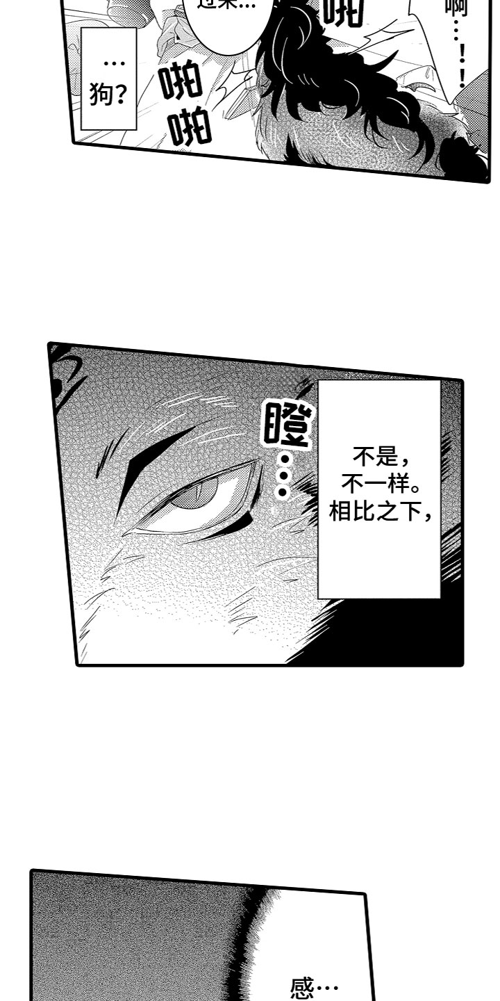 《给我生个孩子吧》第4章什么情况？！ 第14页