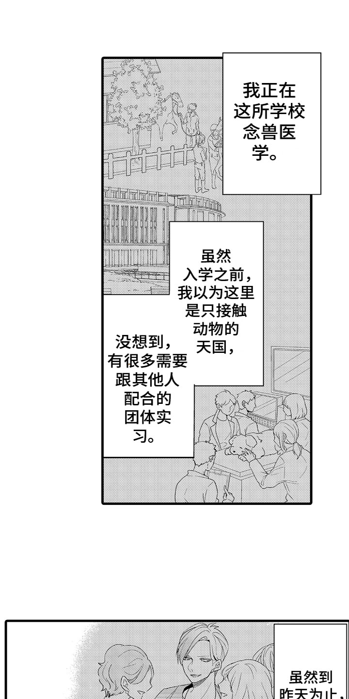 《给我生个孩子吧》第2章特殊的能力 第1页