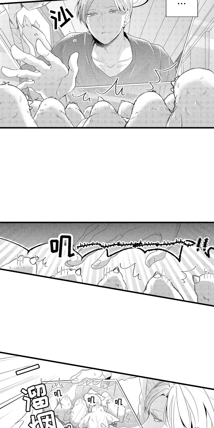 《给我生个孩子吧》第2章特殊的能力 第8页