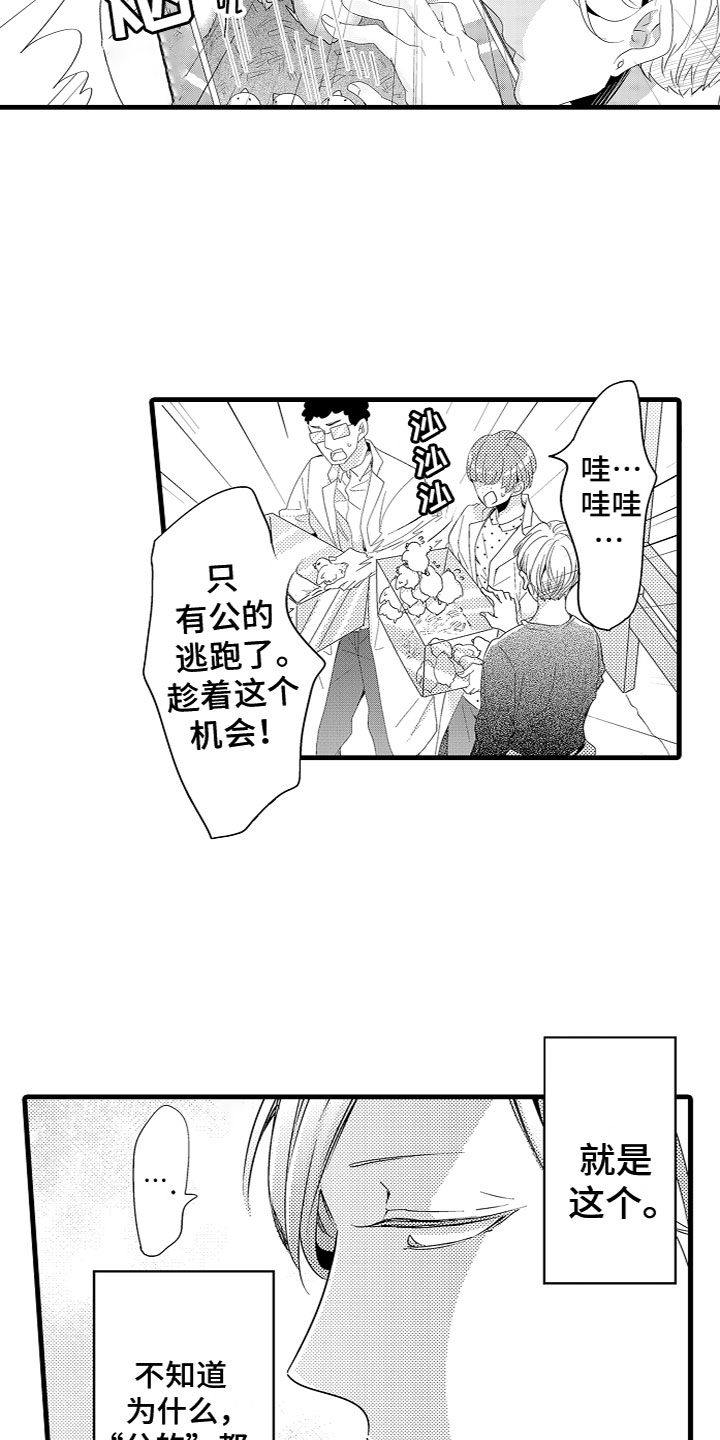 《给我生个孩子吧》第2章特殊的能力 第9页
