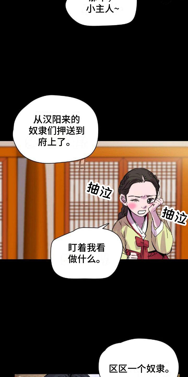 《寻回光明》第27章送回家 第2页