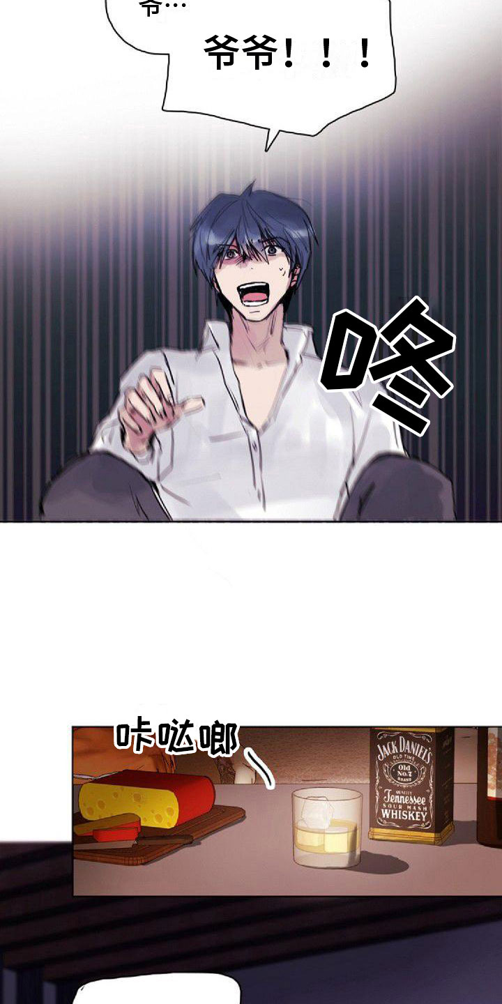 《寻回光明》第11章想起 第5页