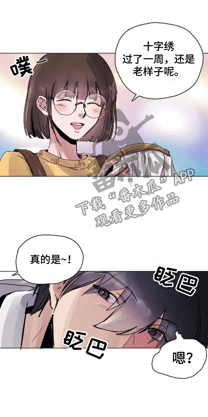 《寻回光明》第8章震惊 第2页