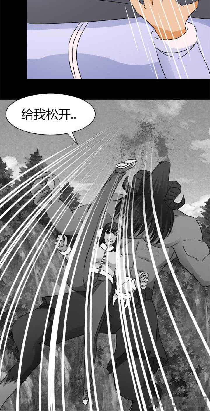 《净化者》第81章洪飞之死 第2页