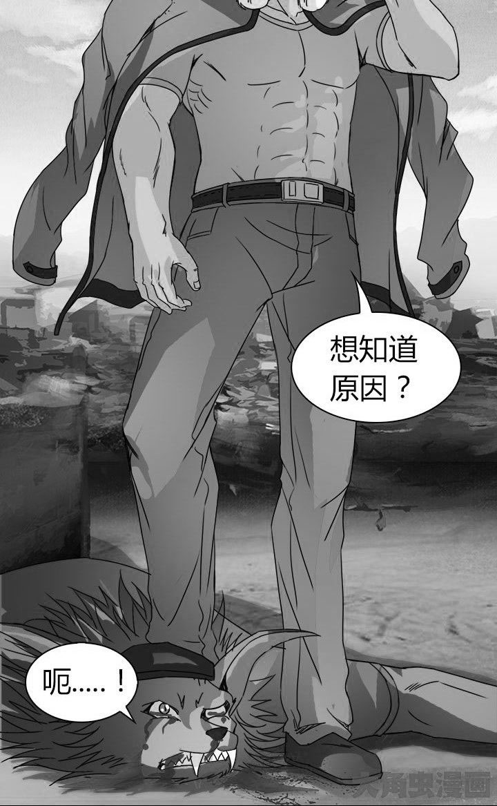《净化者》第64章狐狸人之死 第13页