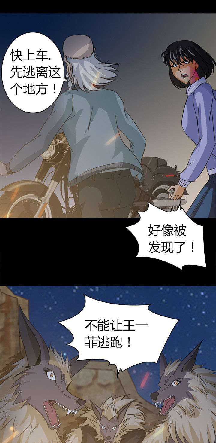 《净化者》第62章死里逃生 第20页