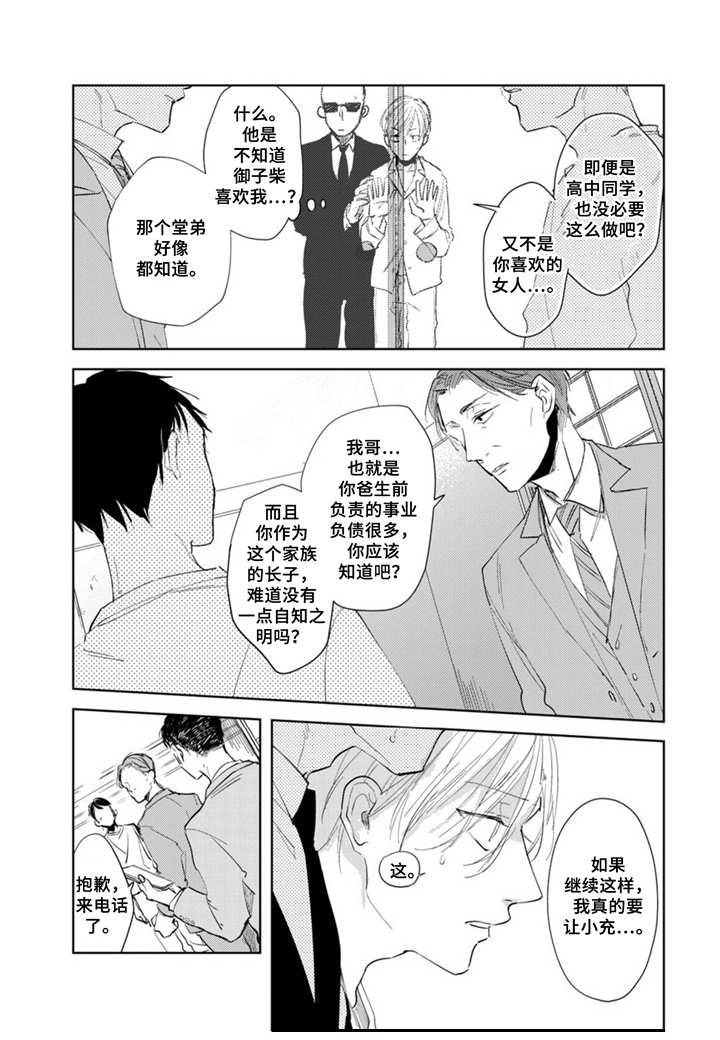 《你就是我的奴隶》第7章家族问题 第11页