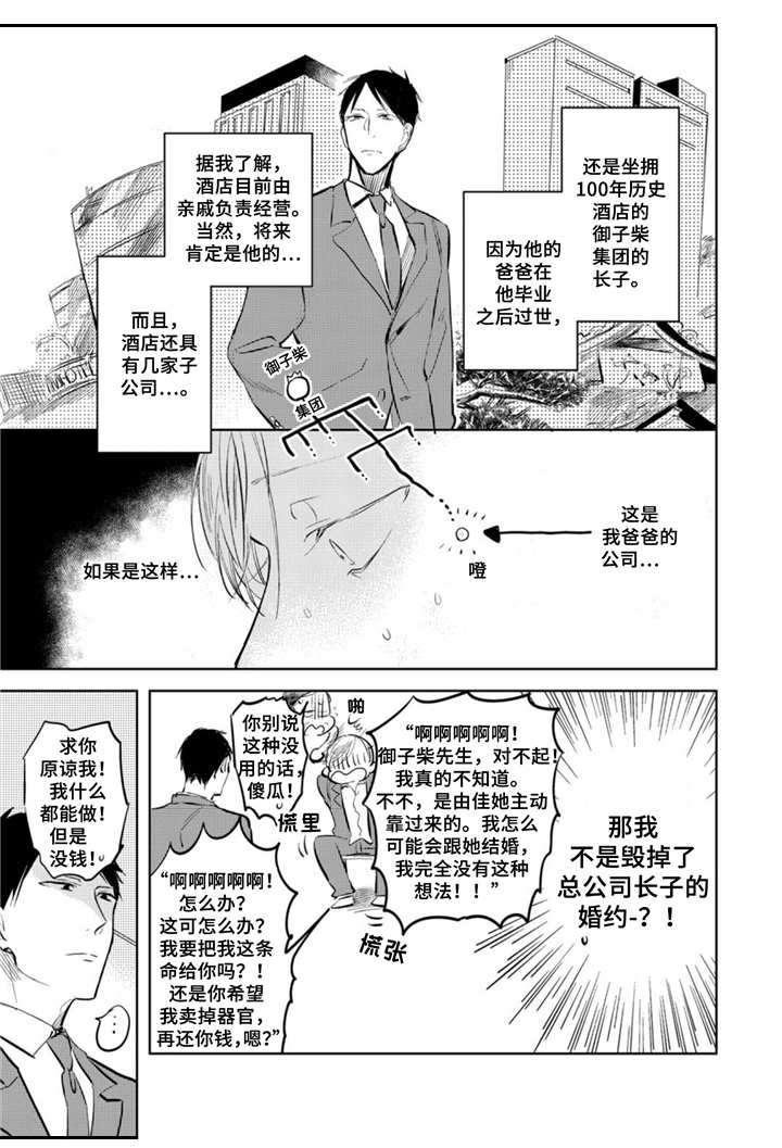 《你就是我的奴隶》第1章闯大祸 第9页