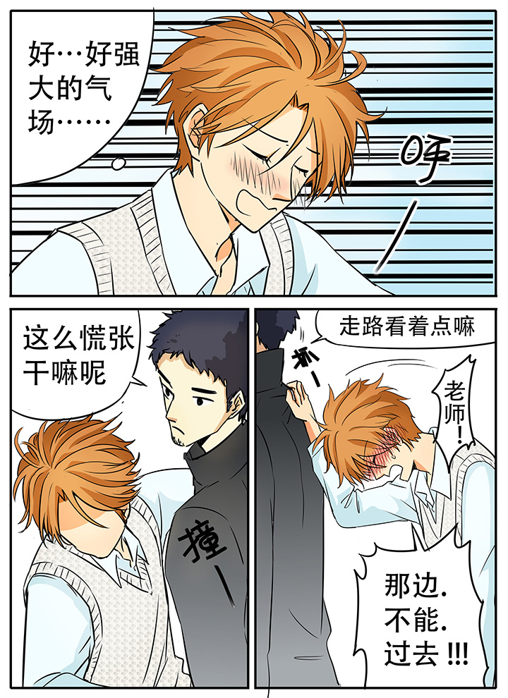 《狼少年的观察日志》第17章怎么又是ta 第3页