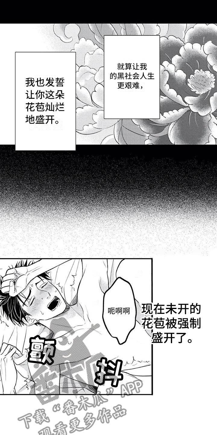 《带着少女心奔跑》第18章花苞盛开 第10页