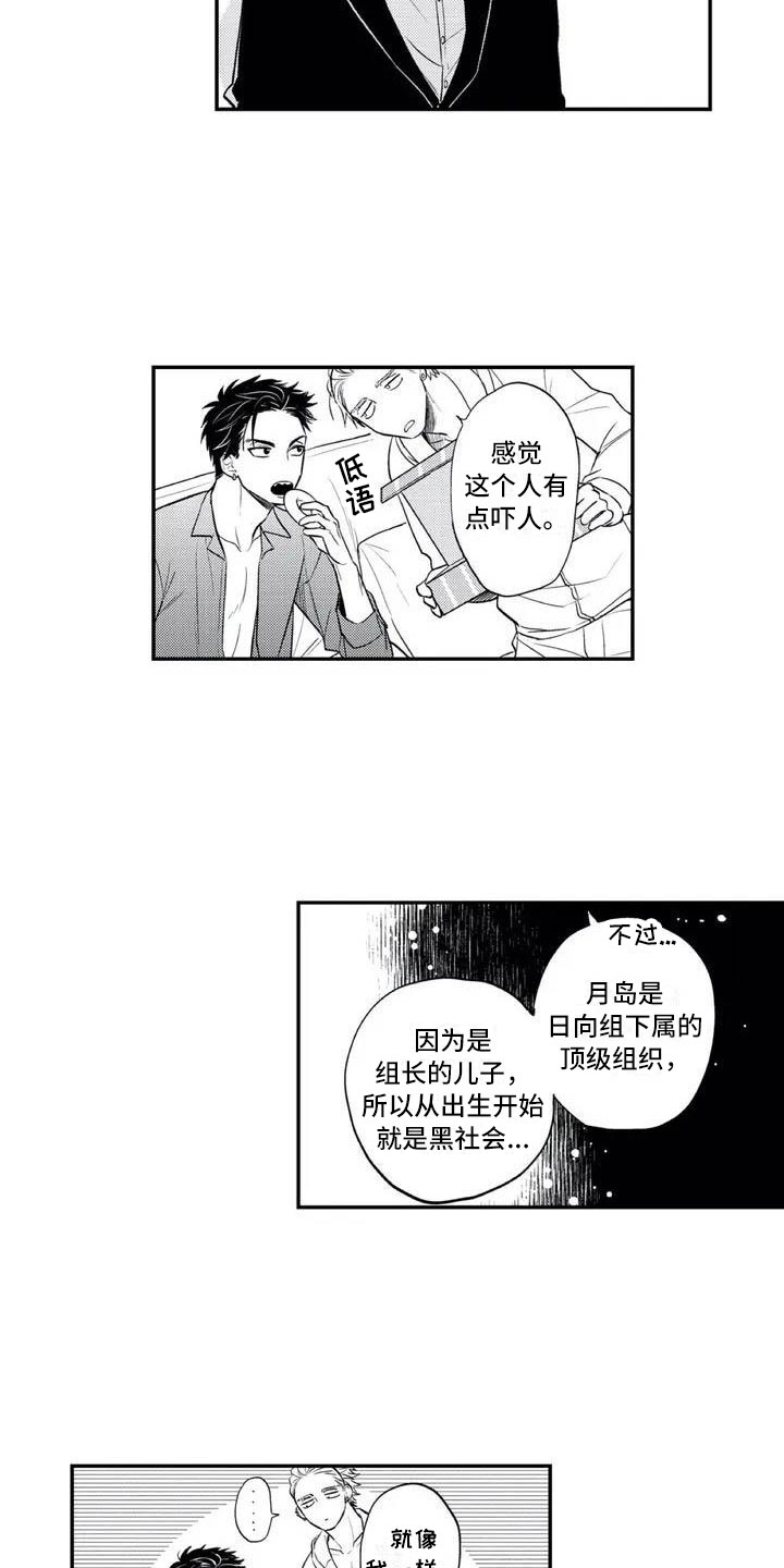 《带着少女心奔跑》第2章用生命保护你 第3页