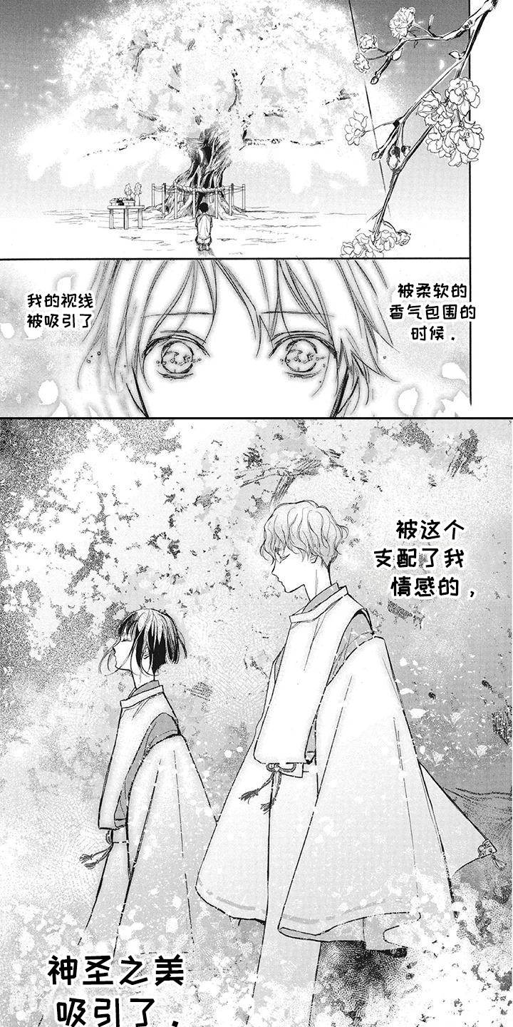 《先祖回归》第13章仪式 第2页