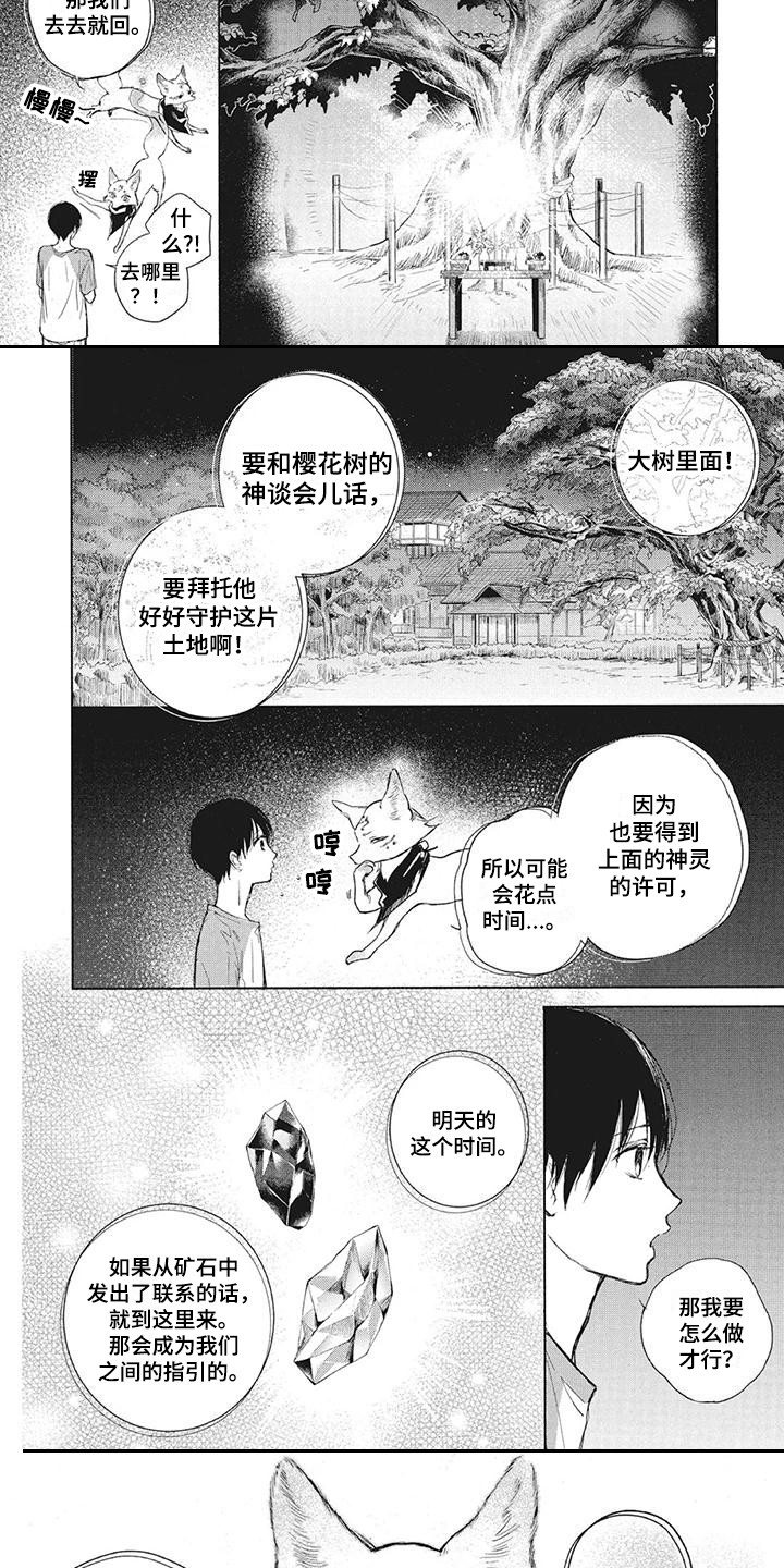 《先祖回归》第8章樱花树 第5页