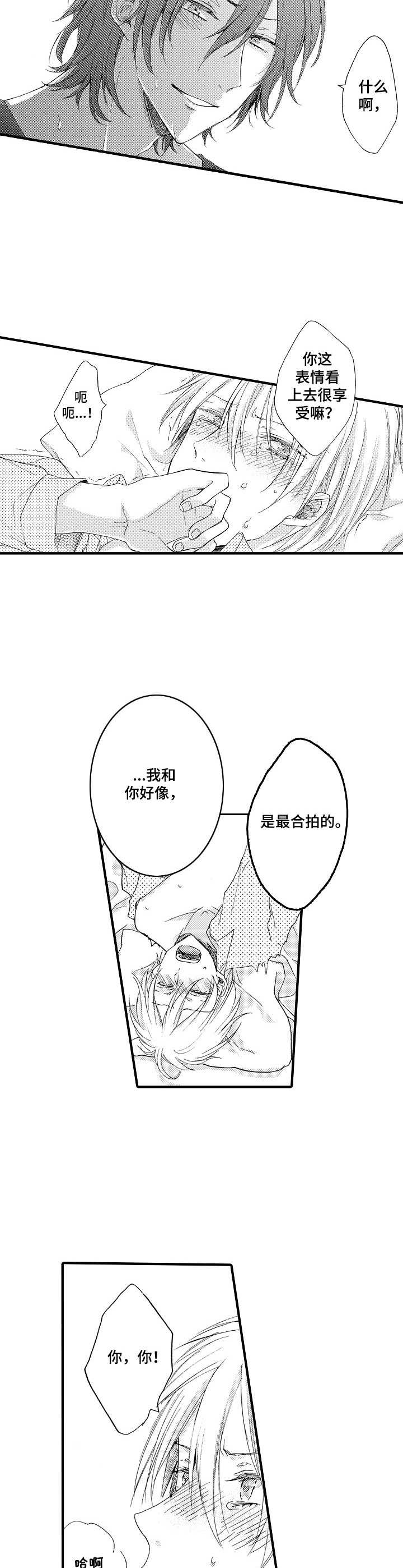 《人格轮廓》第10章假人格 第2页