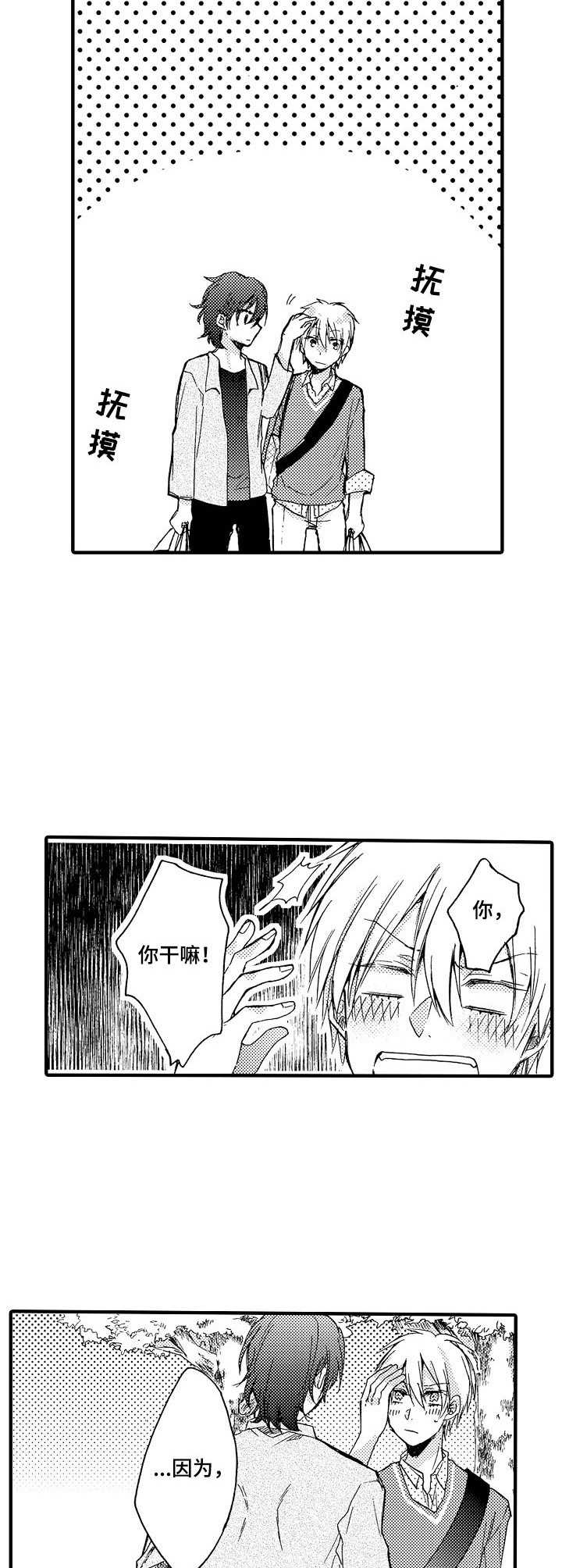 《人格轮廓》第8章购物 第11页