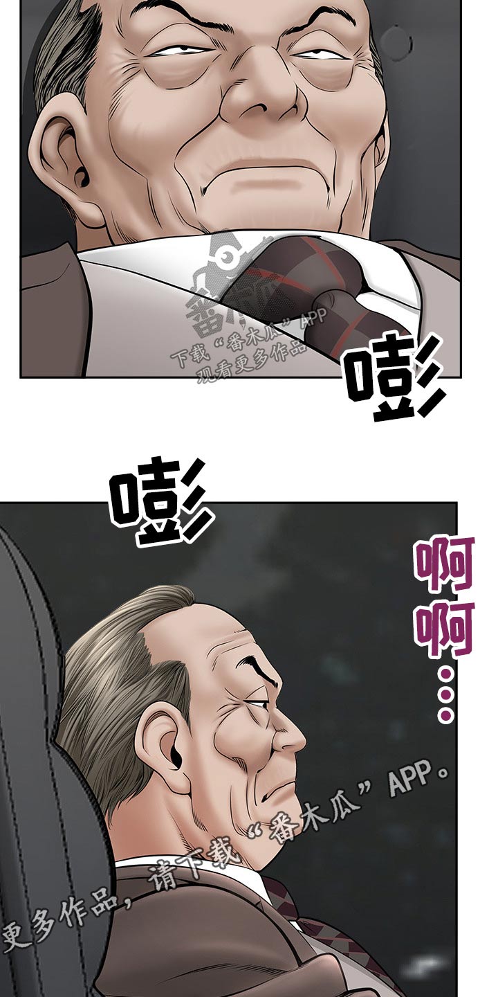 《双胞胎丈夫》第63章监视 第18页