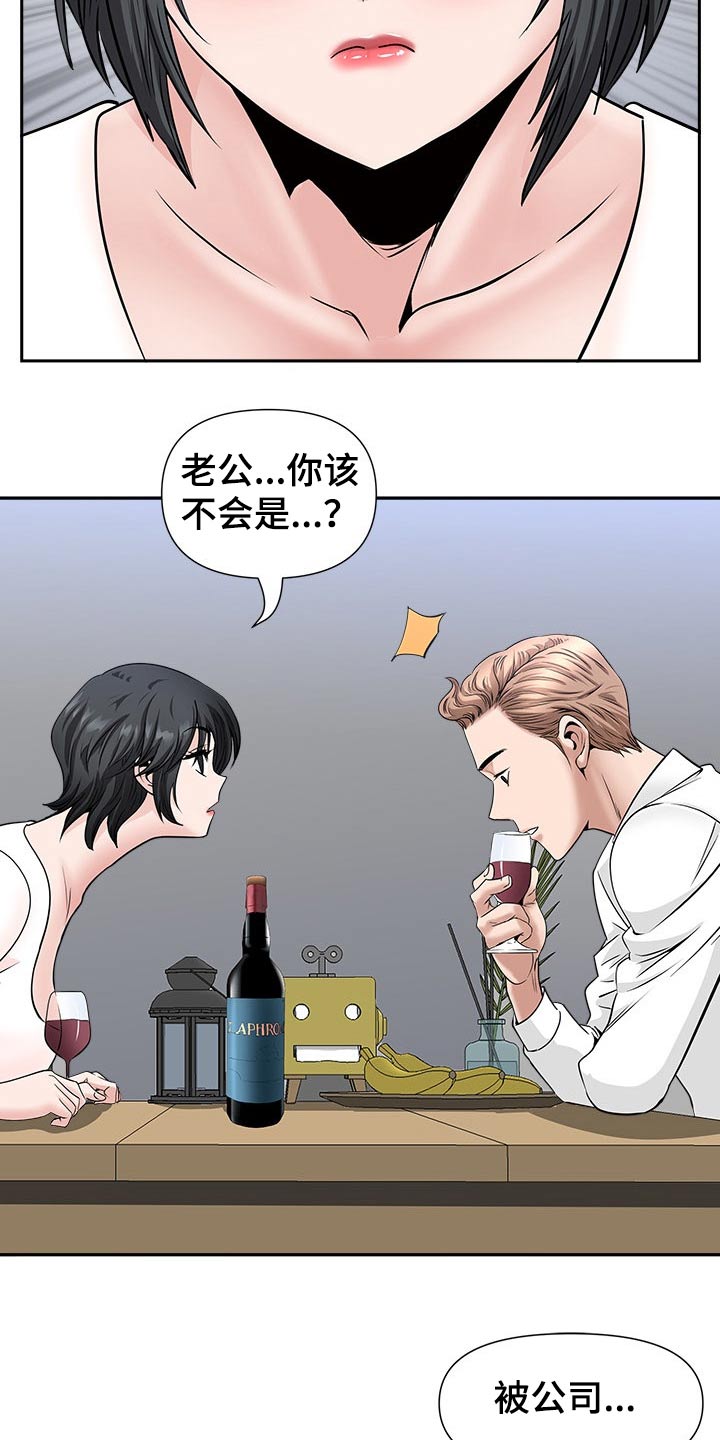 《双胞胎丈夫》第53章升职 第15页