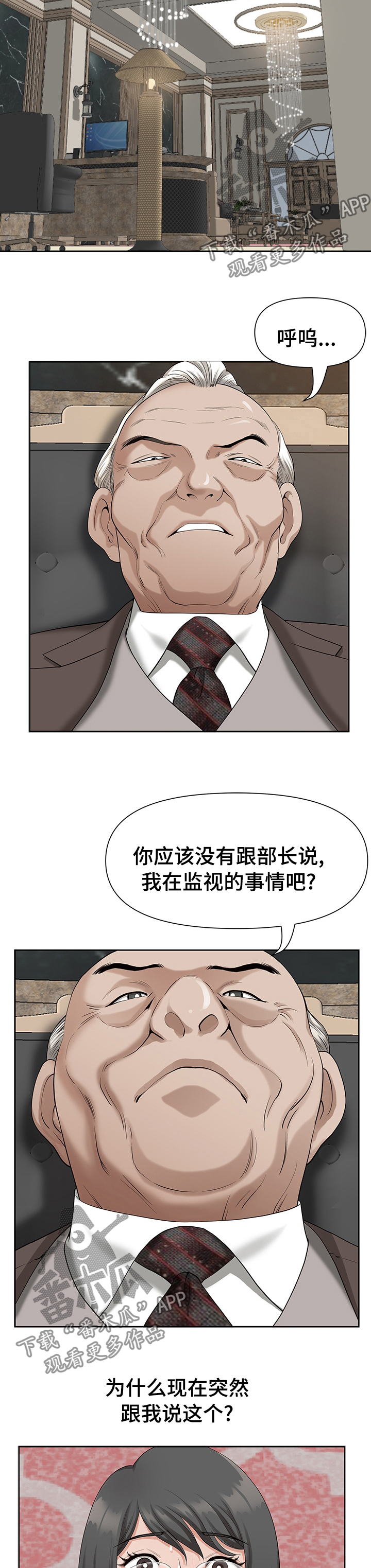 《双胞胎丈夫》第31章证明 第11页