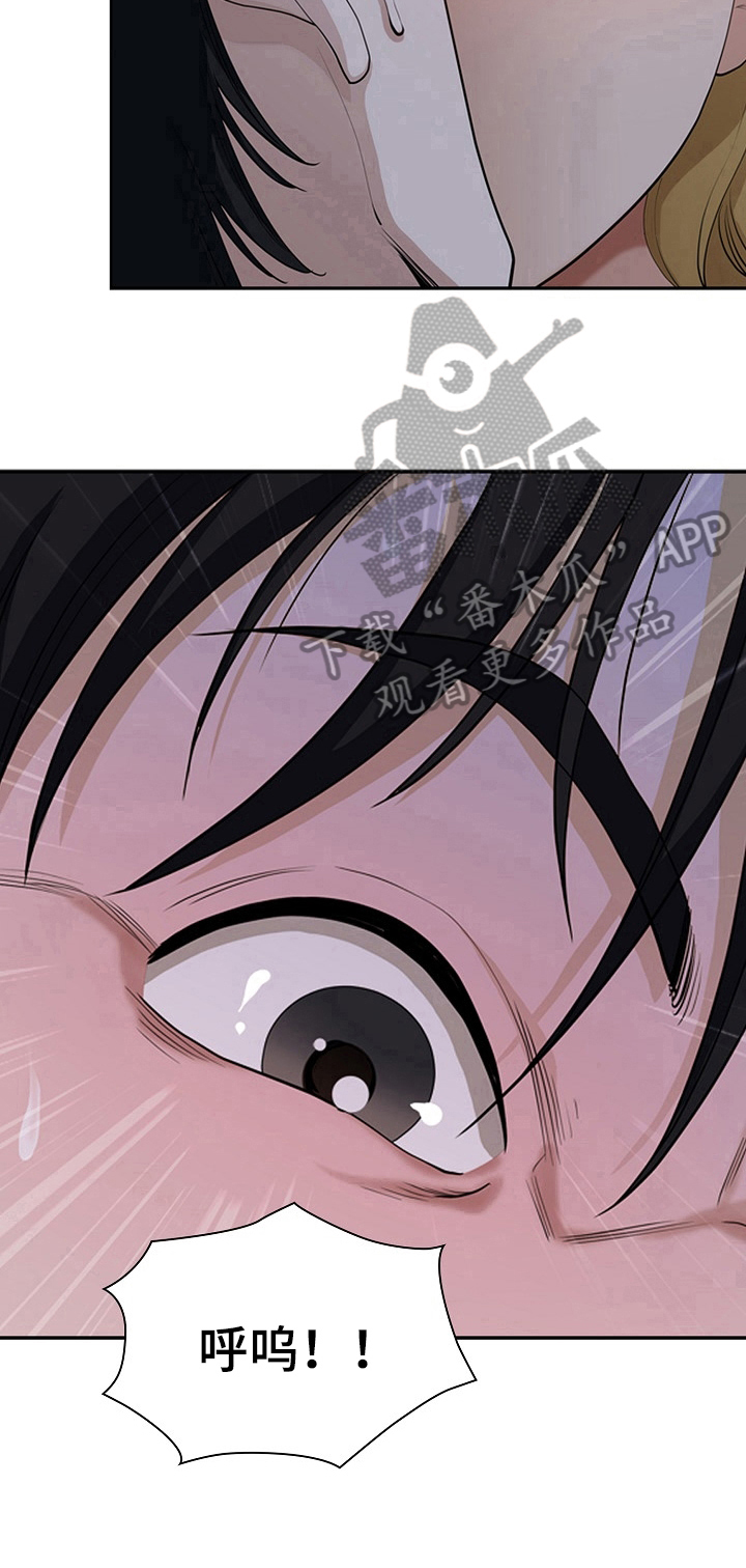 《双胞胎丈夫》第11章嫉妒 第11页